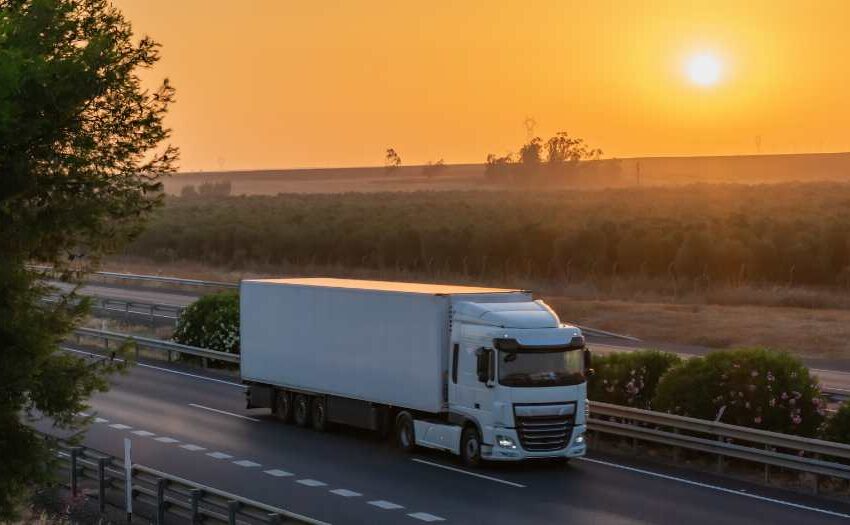 transport chłodniczy